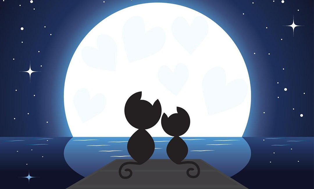 六安潮客汇微信活动策划案例